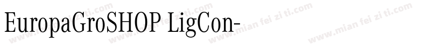 EuropaGroSHOP LigCon字体转换